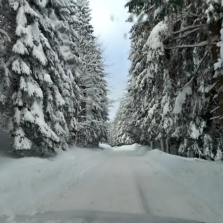 Lesanka Oravská Lesná