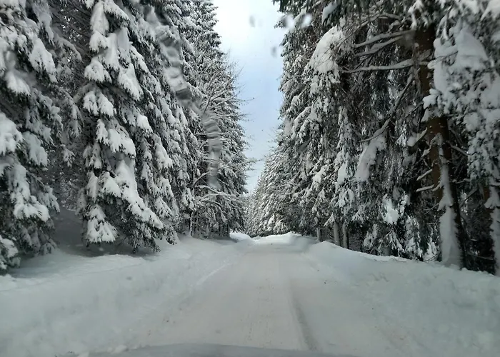 Lesanka Oravská Lesná